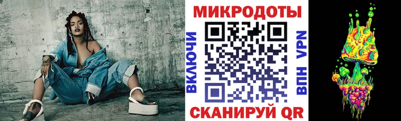 Псилоцибиновые грибы Cubensis Карабаново